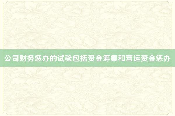 公司财务惩办的试验包括资金筹集和营运资金惩办