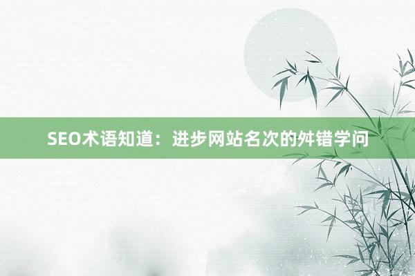 SEO术语知道：进步网站名次的舛错学问